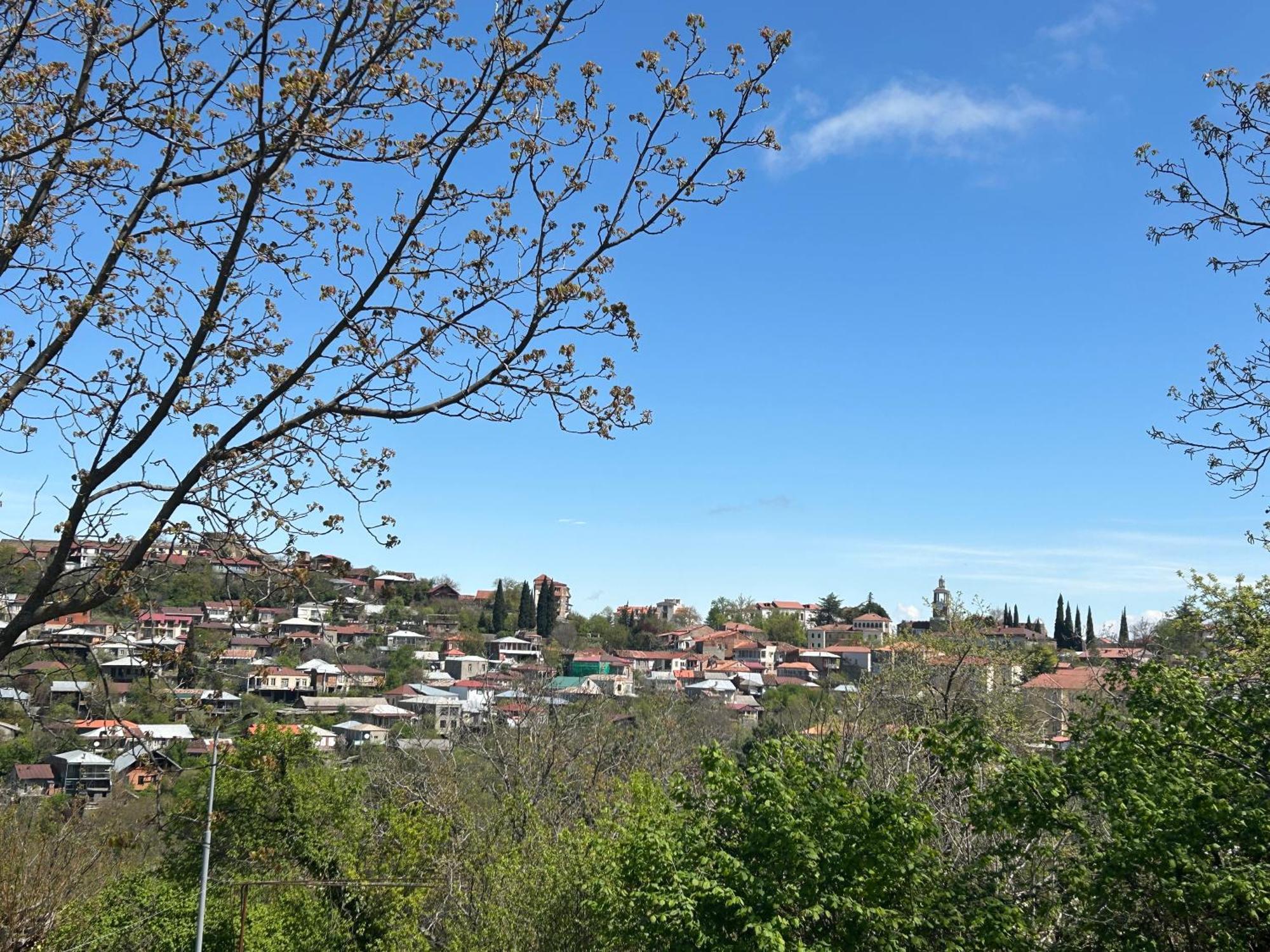 Guest House Maradona Sighnaghi Εξωτερικό φωτογραφία